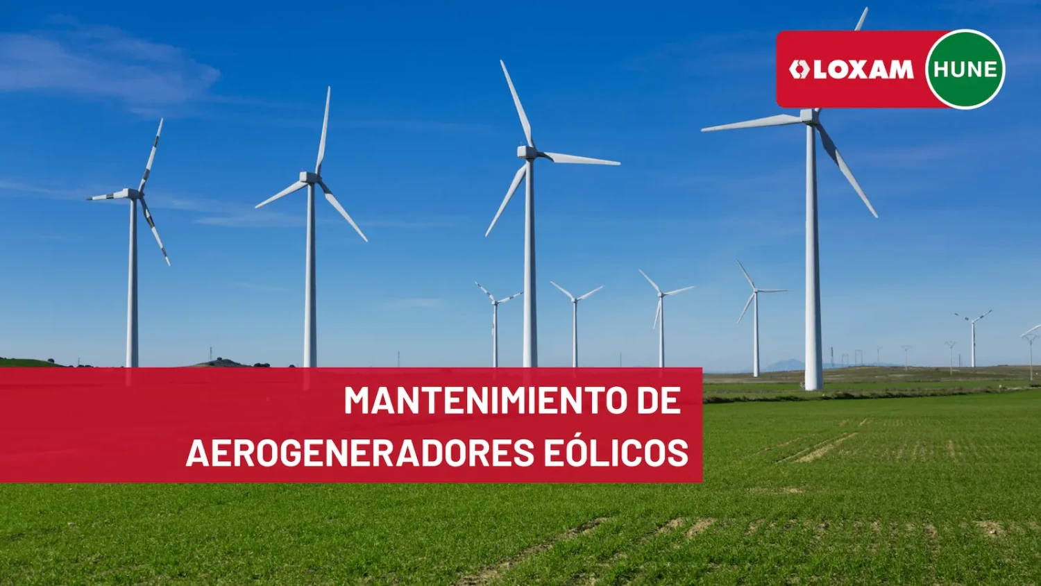 Mantenimiento de molinos eólicos claves para prolongar su vida útil